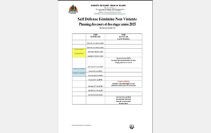Planning des cours SDF NV du 1er semestre 2025