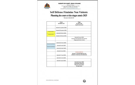 Planning des cours SDF NV du 1er semestre 2025